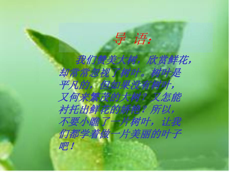 做一片美的叶子_第2页