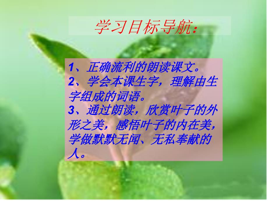 做一片美的叶子_第4页