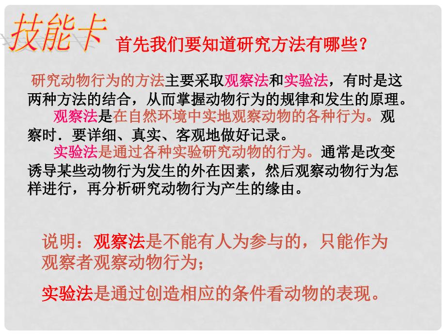 八年级生物上册 4.2.2 动物行为的类型课件 冀教版_第2页