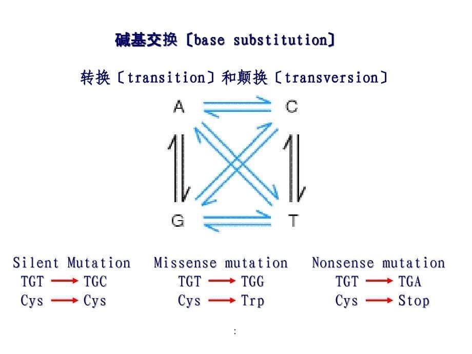 生长发育区段2群体遗传学ppt课件_第5页