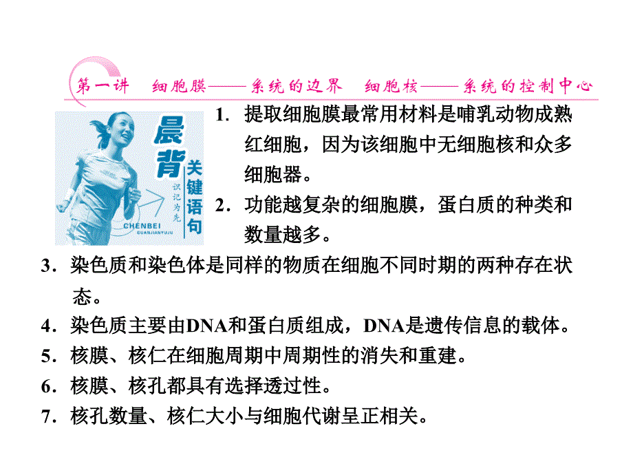 高考生物一轮复习课件：第3章细胞的基本结构_第3页