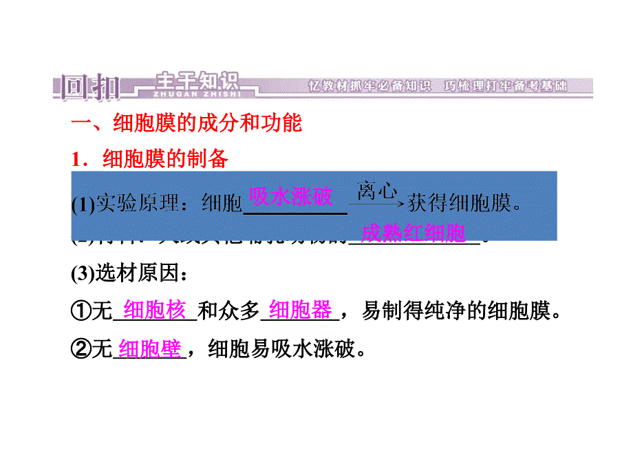 高考生物一轮复习课件：第3章细胞的基本结构_第4页