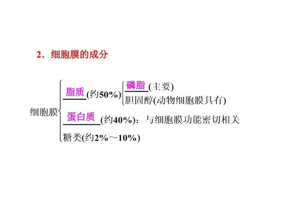 高考生物一轮复习课件：第3章细胞的基本结构_第5页