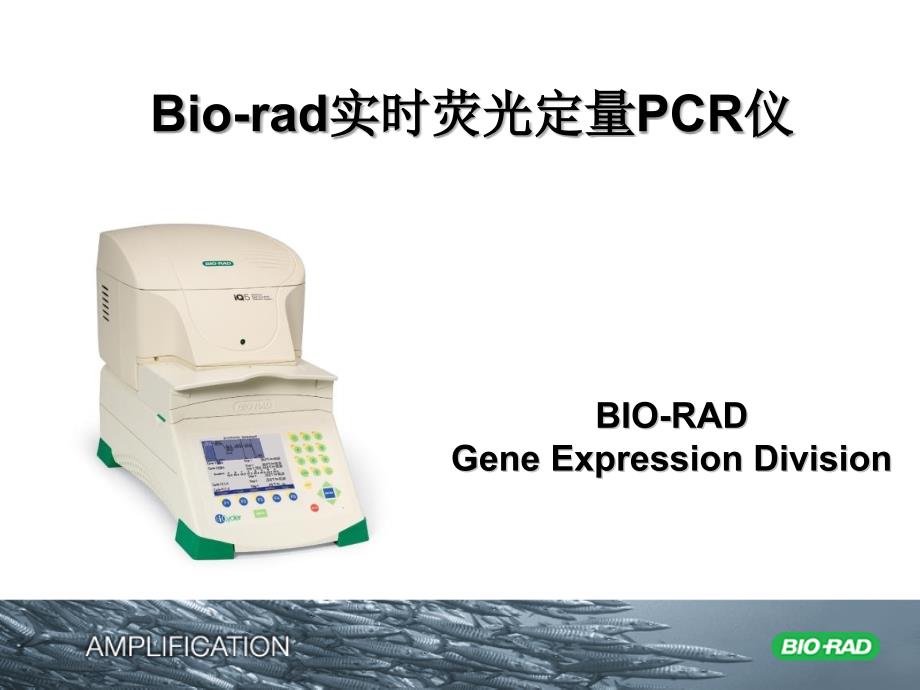 BioRad定量PCR说明书.ppt_第1页