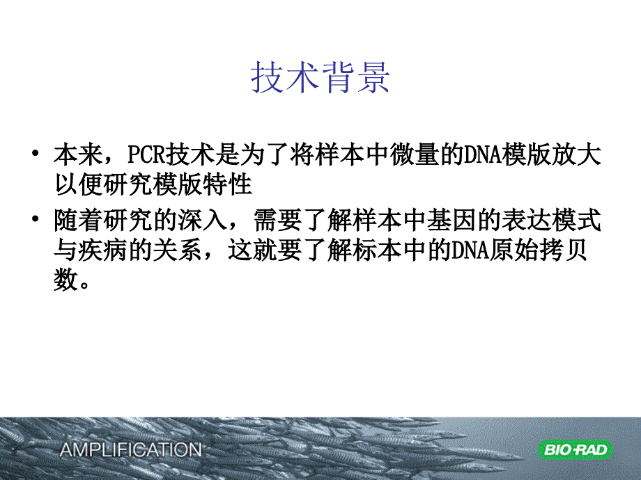 BioRad定量PCR说明书.ppt_第4页