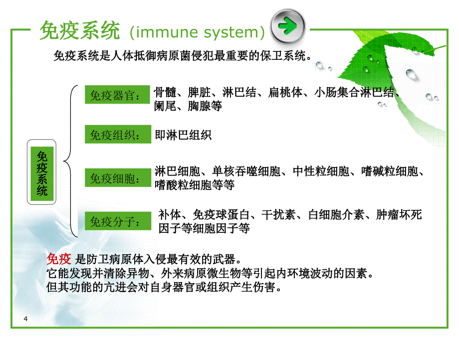 体奥妙之细胞的暗课件_第4页