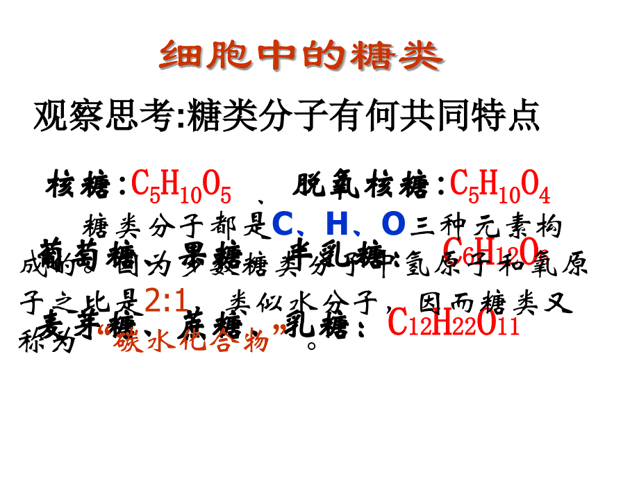 24细胞中的糖类和脂质_第3页