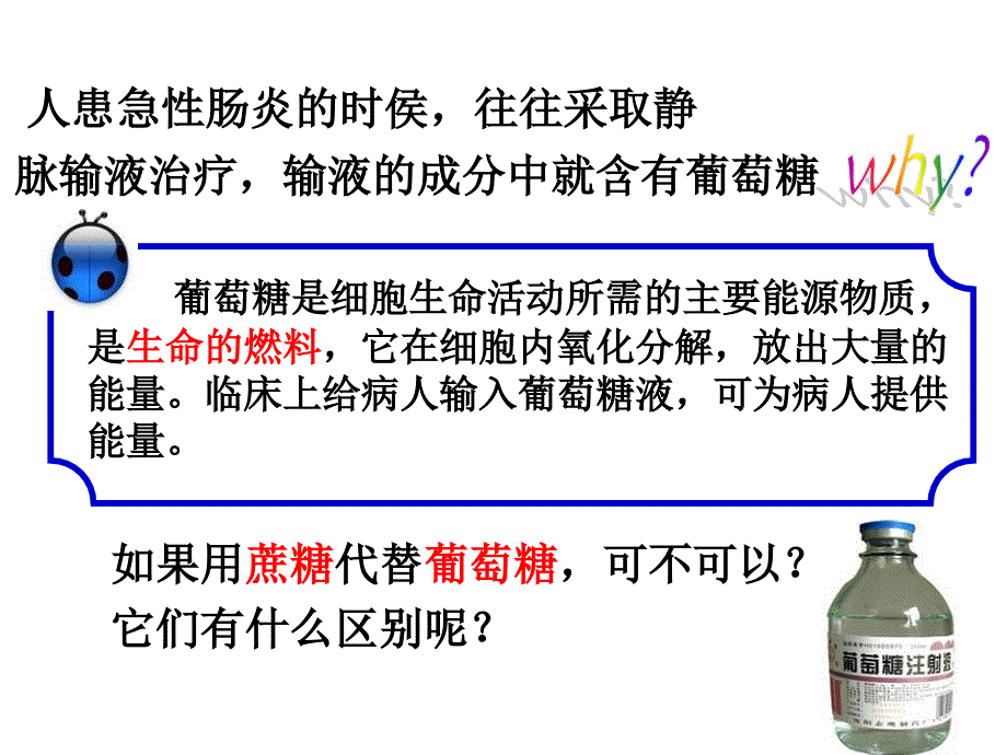 24细胞中的糖类和脂质_第4页