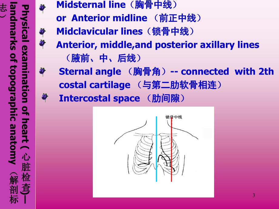 心脏体检上课用_第3页