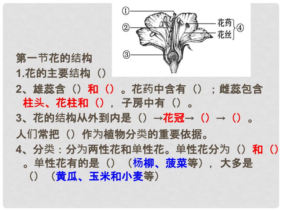 八年级生物上册 第四单元 第一章 绿色开花植物的一生复习课件1 （新版）济南版_第2页