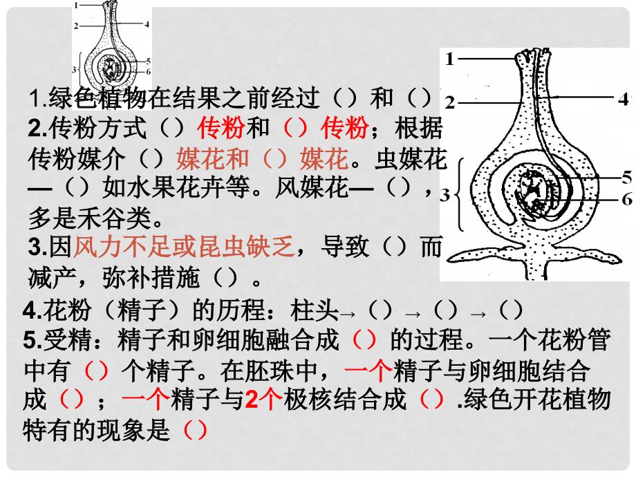 八年级生物上册 第四单元 第一章 绿色开花植物的一生复习课件1 （新版）济南版_第4页