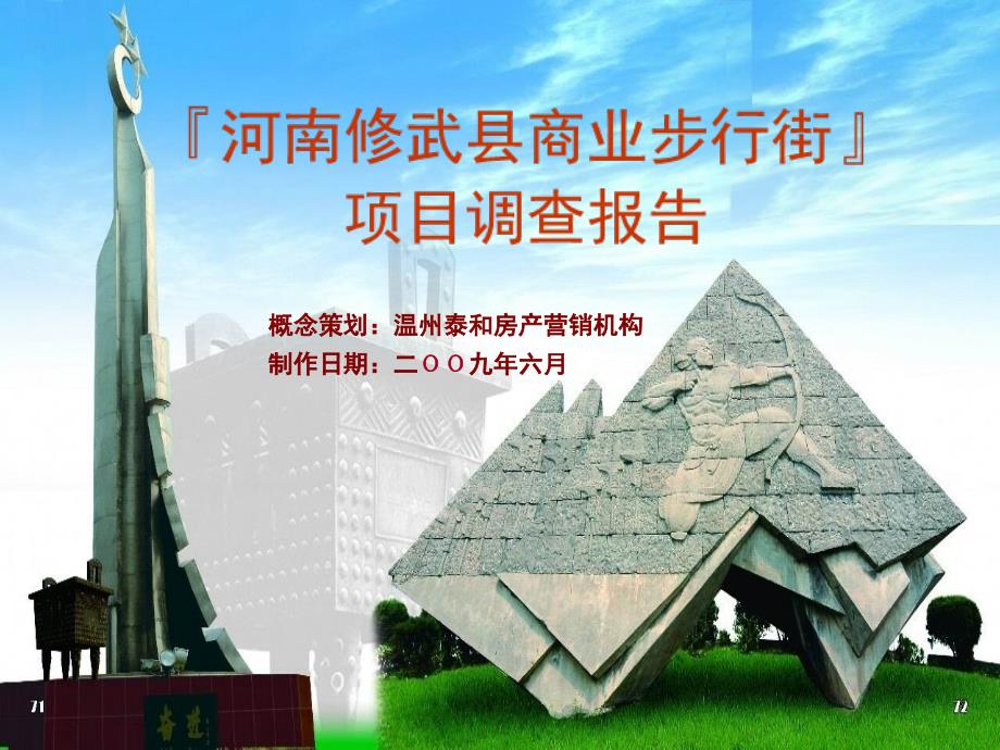 河南修武县商业步行街项目调查报告_第1页