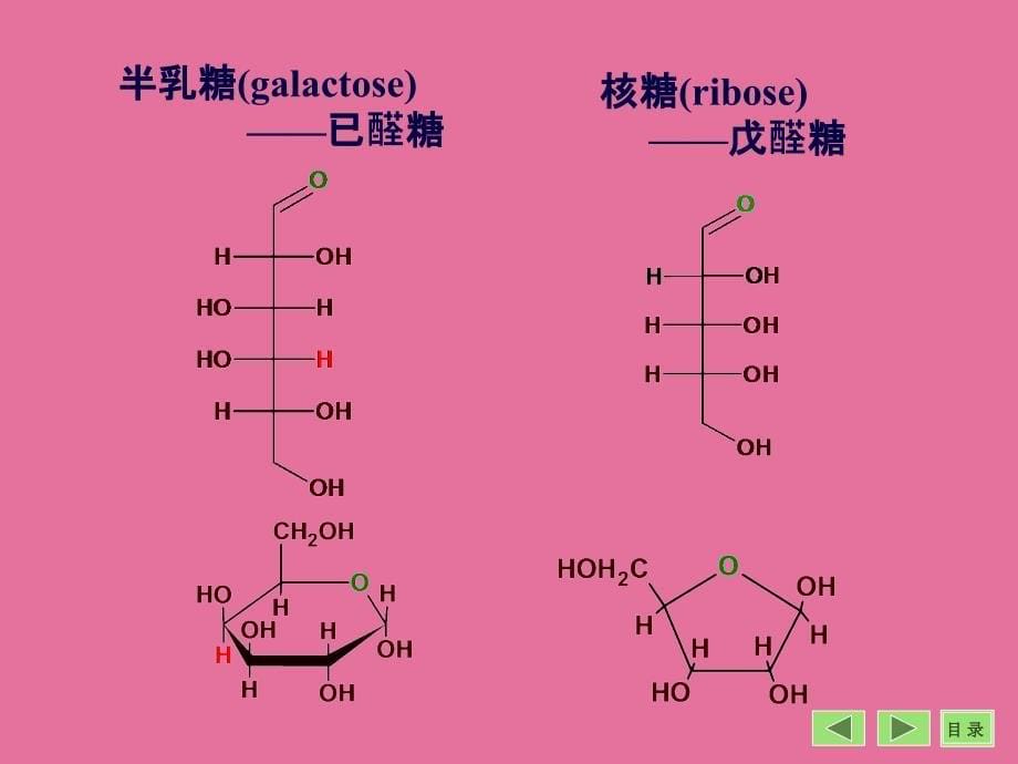 第章糖代谢版0001ppt课件_第5页