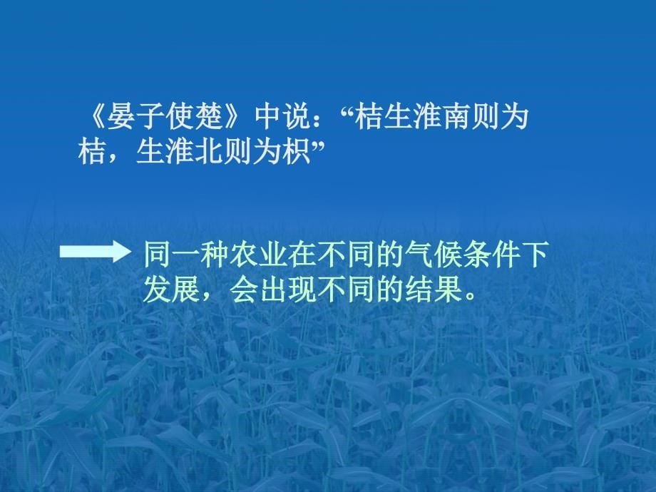 综合高中高中地理课件农业的区位选择_第5页