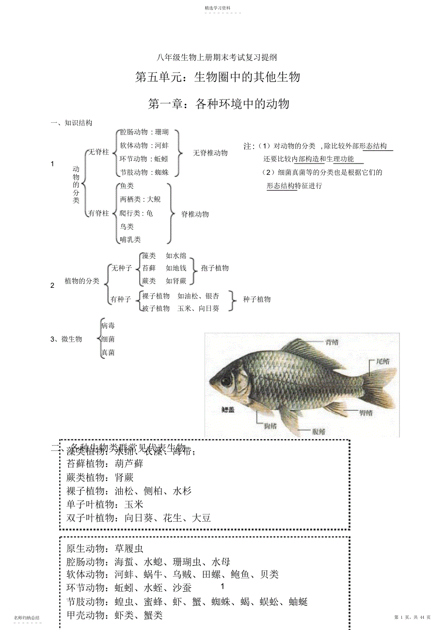 2022年八年级上册生物复习提纲3_第1页