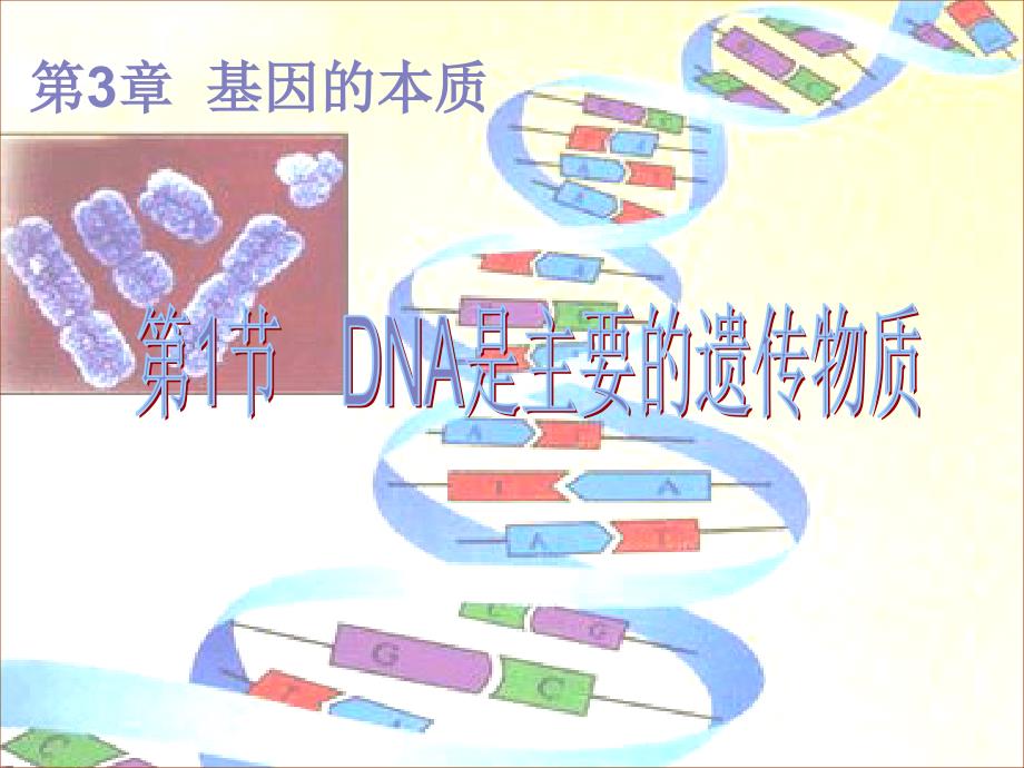 DNA是主要的遗传物质_第1页