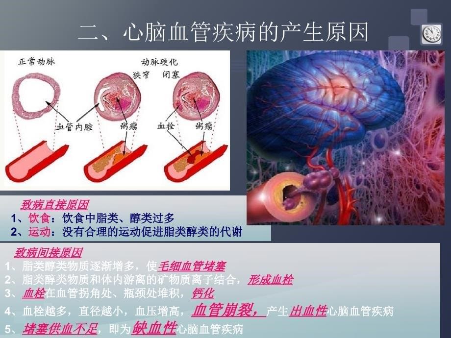 健康课程心脑血管课件_第5页