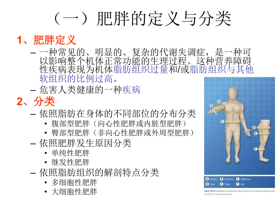 肥胖与运动-ppt课件_第4页