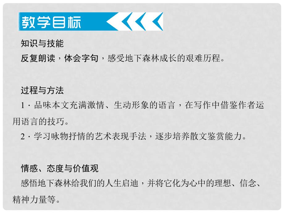 九年级语文下册 第三单元 11《地下森林断想》课件2 （新版）新人教版_第1页