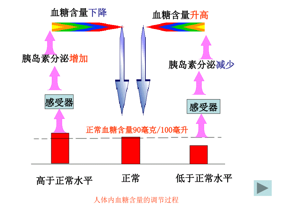 医学课件神奇的激素第二课时浙教版_第4页