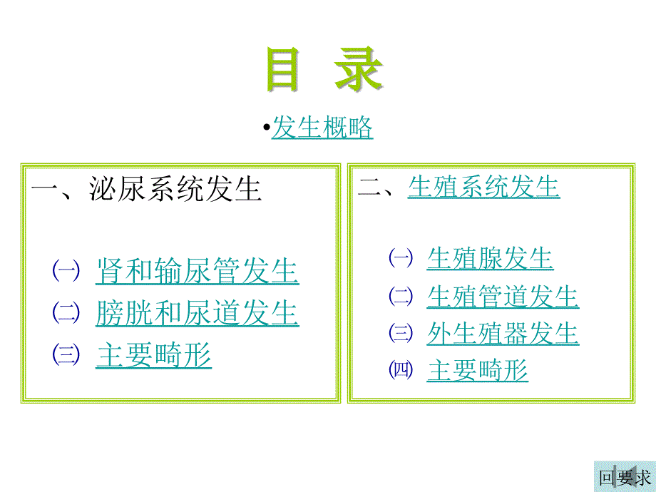 组织与胚胎学课件：泌尿和生殖系统的发生_第3页