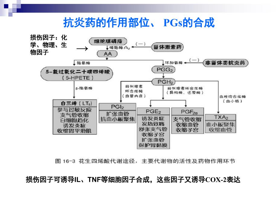 解热镇痛抗炎药_第4页