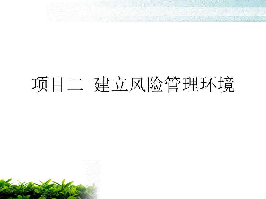 项目二风险管理环境_第1页