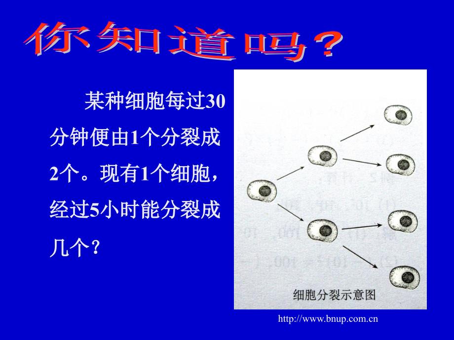 北师大版七年级数学 有理数的乘方（一）演示文稿课件_第4页