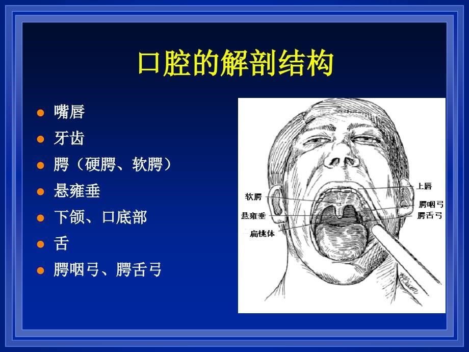 《康复评定学》课件：吞咽障碍的评定与治疗_第5页