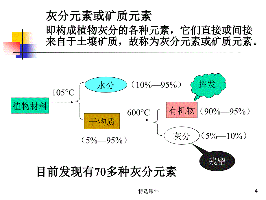 植物的矿质营养#高等教育_第4页