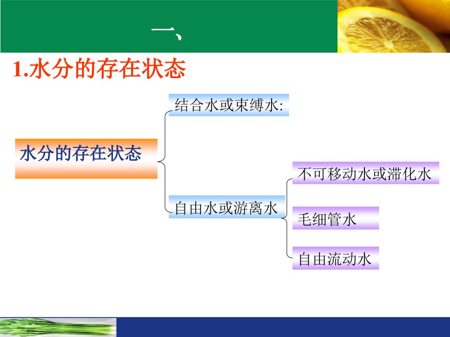 食品中水分的测定专题讲座PPT_第3页