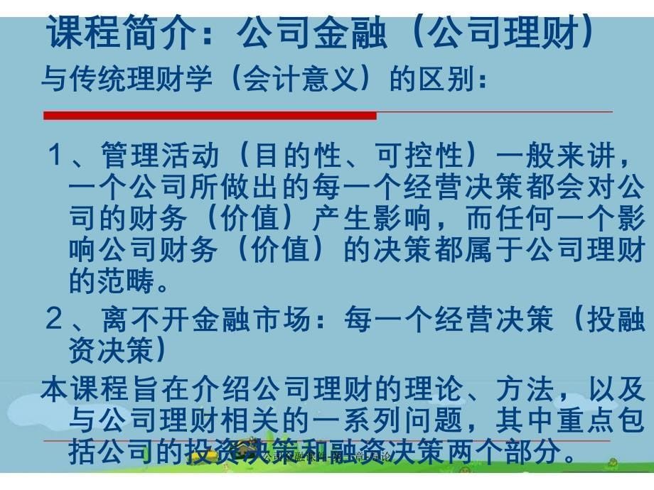 公司金融课件第一章导论_第5页