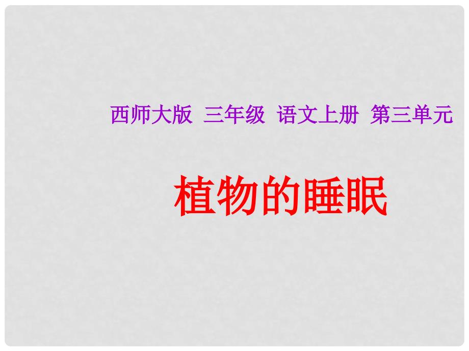 三年级语文上册 第三单元 植物的睡眠课件4 西师大版_第1页