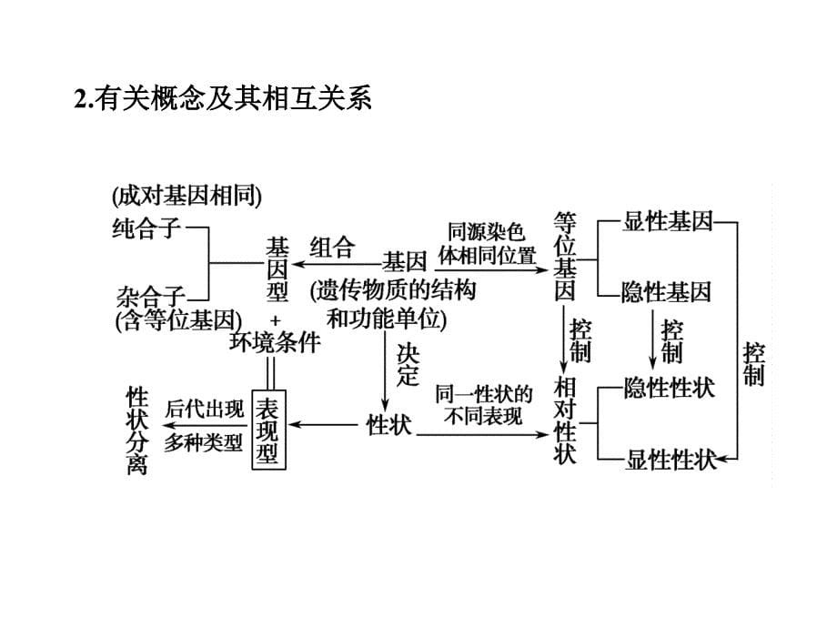 【高中生物】遗传的基本规律和伴性遗传_第5页