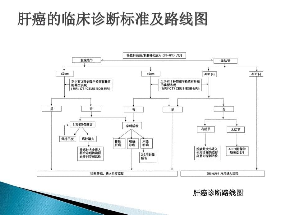 原发性肝癌诊疗规范(2019年版).ppt_第5页