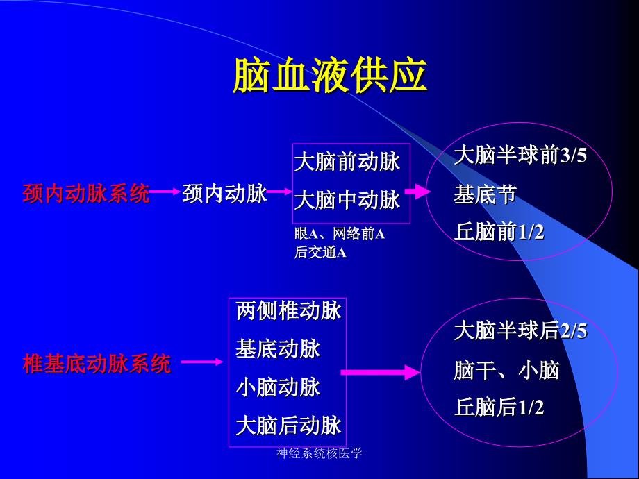 神经系统核医学课件_第4页