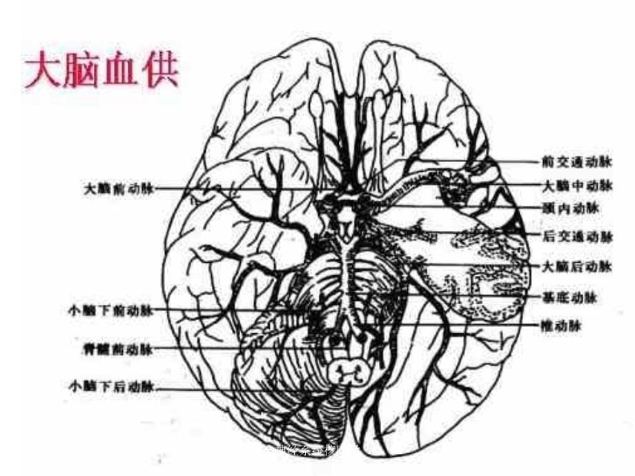 神经系统核医学课件_第5页