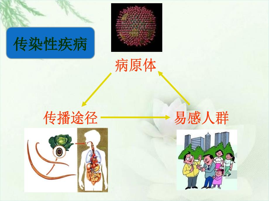 主题班会常见传染病的预防_第3页