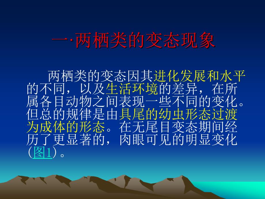 两栖动物的变态发育.ppt_第3页