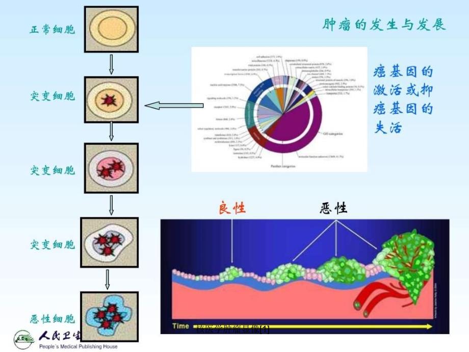 核医学肿瘤显像课件_第2页