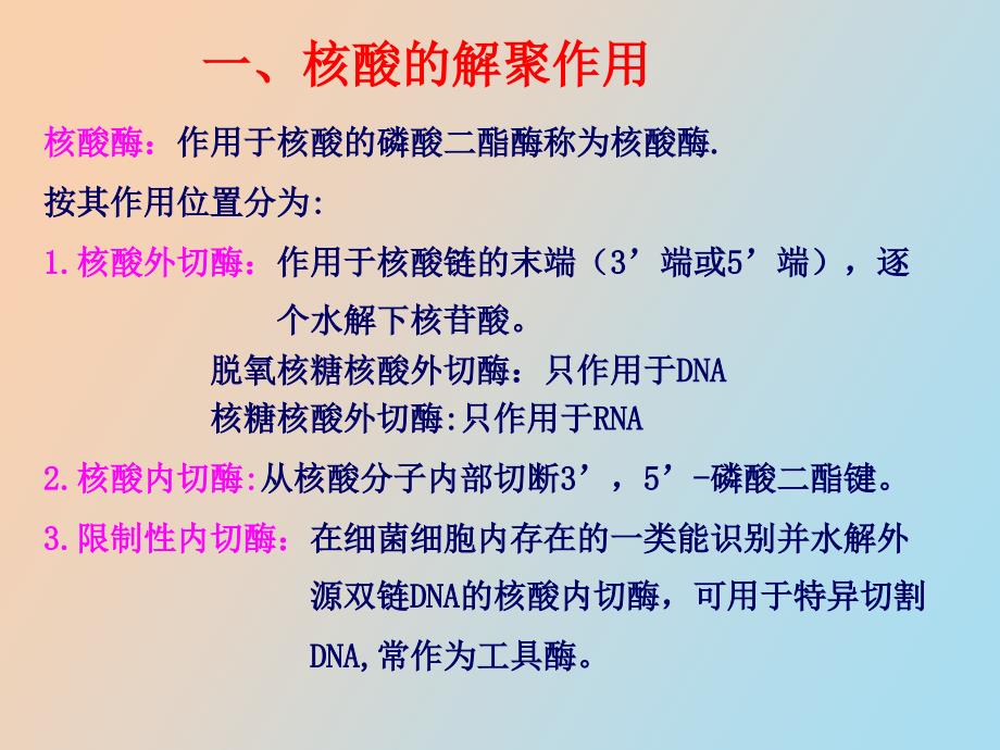 核酸的降解和核苷酸代谢_第4页