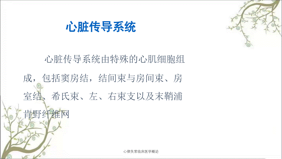 心律失常临床医学概论_第2页