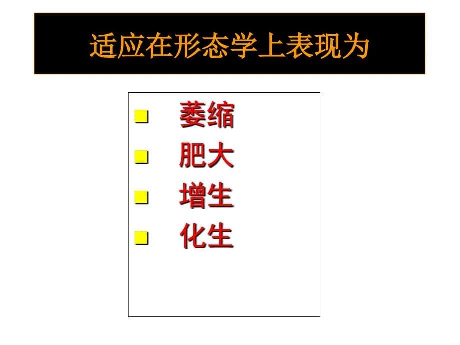 细胞和组织的损伤与修复(143)PPT课件_第5页