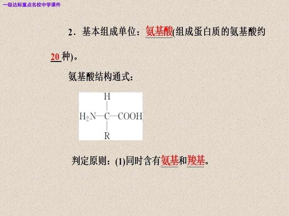 高三生物复习精讲精练之专题一考点1蛋白质核酸的结构和功能ppt课件_第5页