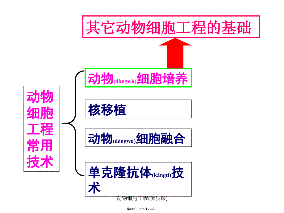 动物细胞工程(优质课)课件_第4页