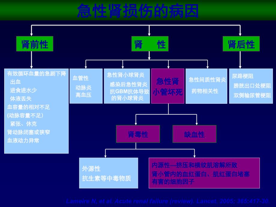 急性肾损伤AKI_第3页