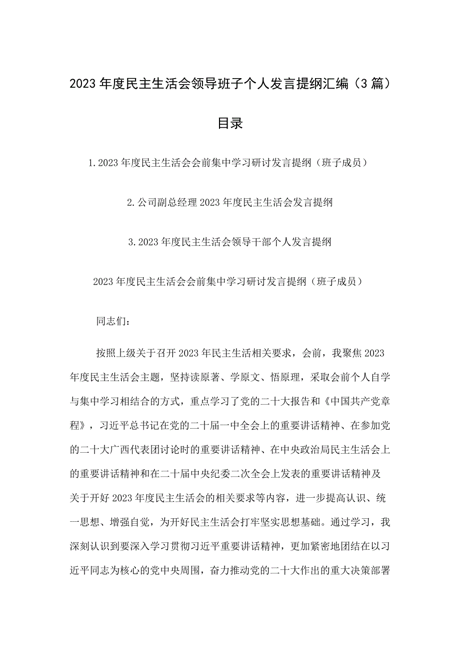 班子个人发言提纲汇编_第1页