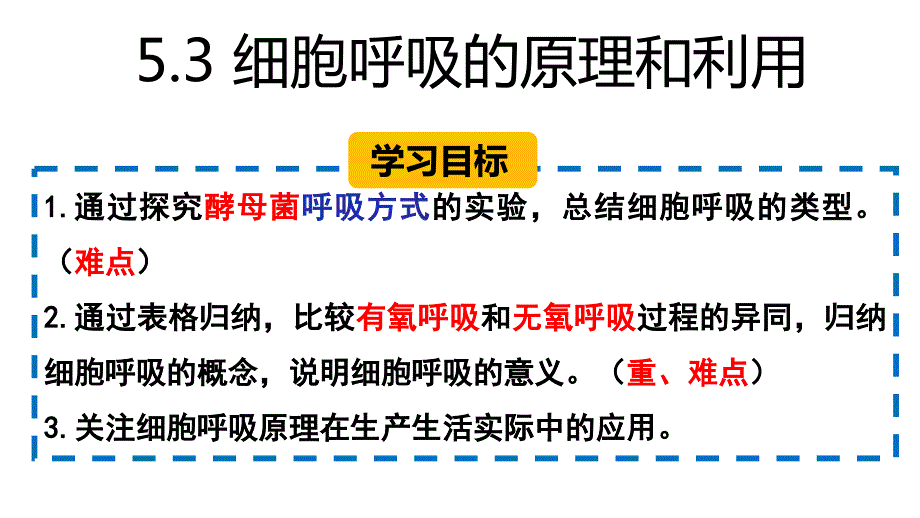 【高中生物】细胞呼吸的原理和应用课件+高一上学期生物人教版必修1_第2页