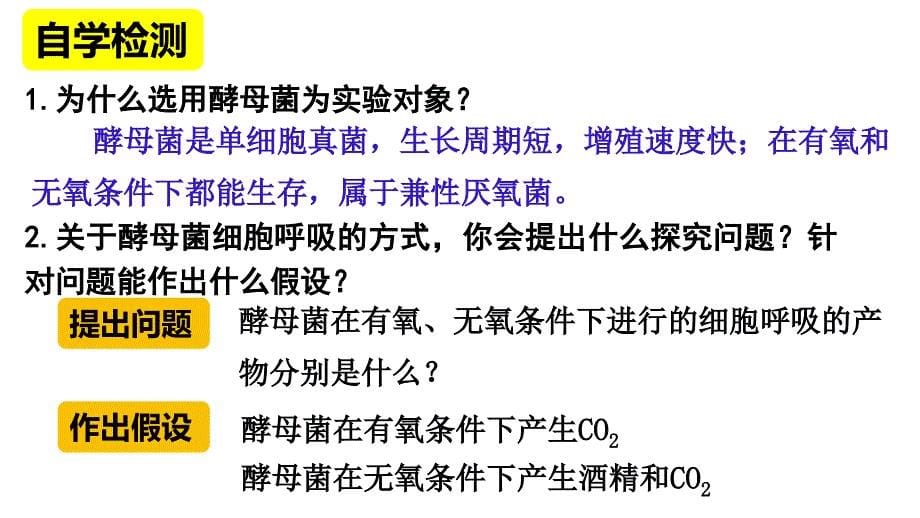 【高中生物】细胞呼吸的原理和应用课件+高一上学期生物人教版必修1_第5页