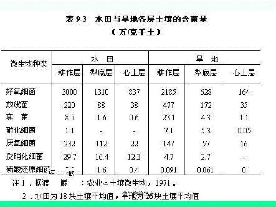 微生物的生态课件_第5页